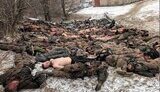 вагнерівці