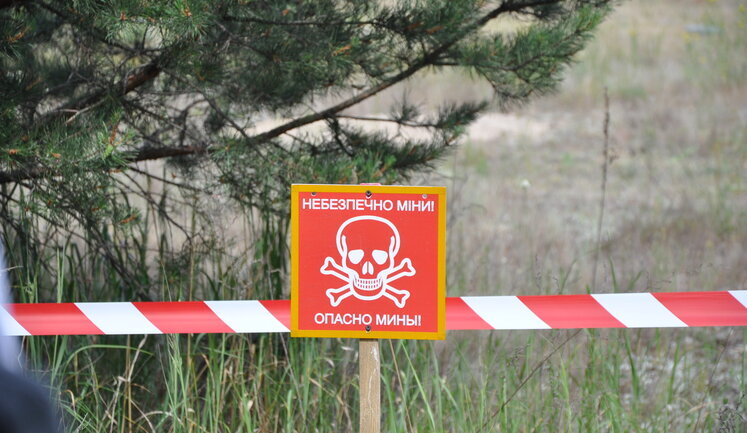 30% of territory of Ukraine is mined. Area has increased tenfold, - SES