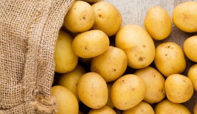 Урожай картоплі в Україні цього сезону на 50% вище за торішній, – Інститут картоплярства