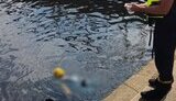 Тіло хлопця, який впав внаслідок обриву троса на атракціоні в Києві, дістали з Дніпра