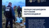 наркотики