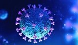 Ukraine reports 6,506 new coronavirus cases