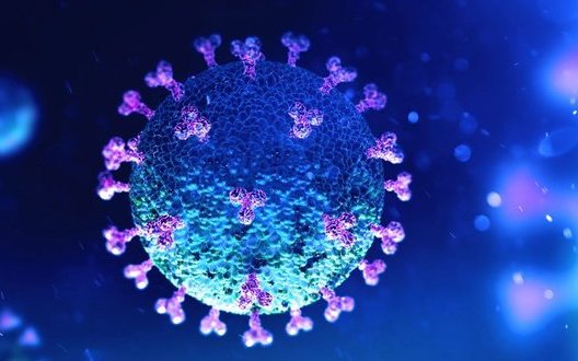 Ukraine reports 6,506 new coronavirus cases