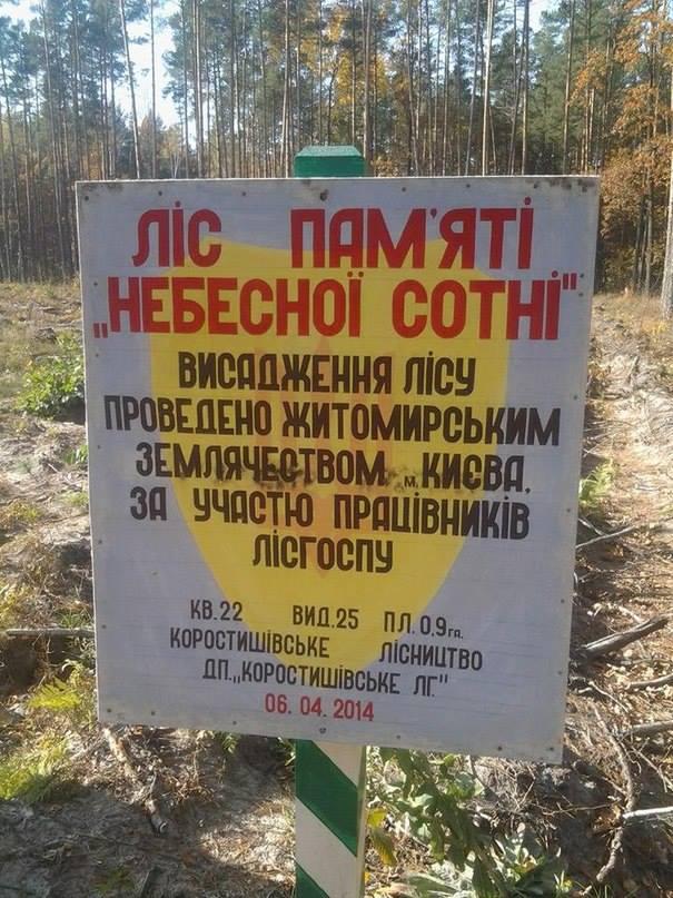 памятник лес небесная сотня памсять