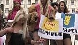 Политическая проституция или &amp;quot;sexит-пол&amp;quot; под стенами ЦИК. ВИДЕО.