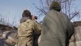 бойцы