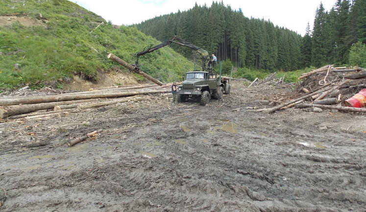 Ukrainian tourists publish evidence of protected Carpathian forests total devastation. PHOTOS