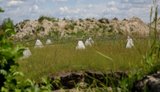 РФ может попытаться осуществить вторжение со стороны Черниговщины, но пока активности не фиксируется, - ГПСУ