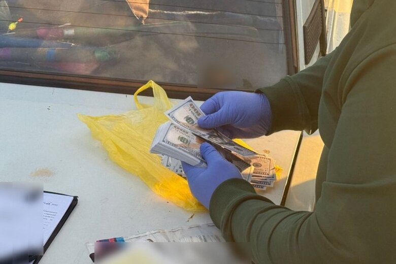 Organiser of illegal border crossing detained in Odesa region