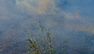 Чернігівщина після обстрілу