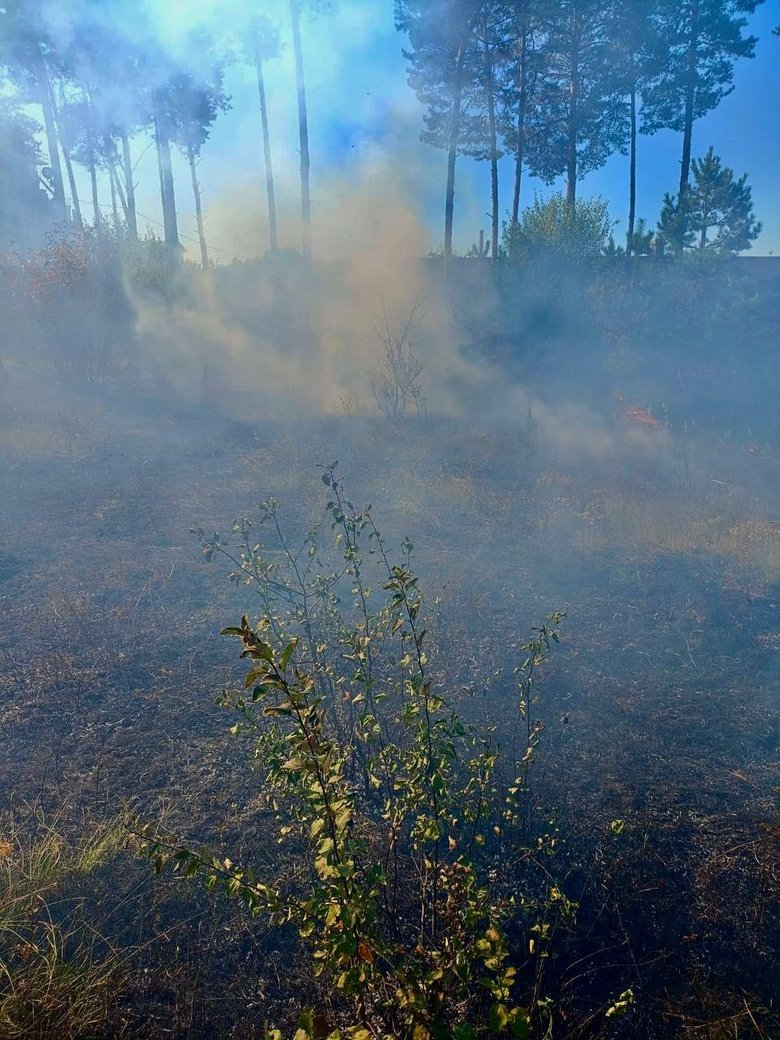 Чернігівщина після обстрілу