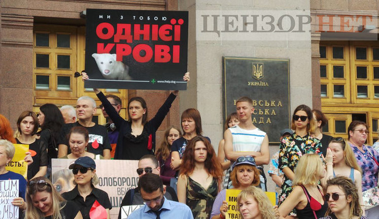 "Ми втомилися від безкарності збоченців": Учасники Всеукраїнської акції "Україна - не шкуродерня" мітингували під КМДА. ВІДЕО+ФОТОрепортаж