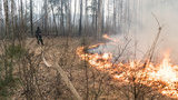 В Україні оголошено надзвичайний рівень пожежної небезпеки, - ДСНС
