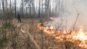 В Україні оголошено надзвичайний рівень пожежної небезпеки, - ДСНС