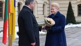 Порошенко і Грібаускайте проводять переговори у форматі "віч-на-віч", - АП. ФОТОрепортаж