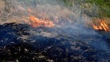 Синоптики попереджають про надзвичайну пожежну небезпеку в декількох областях України
