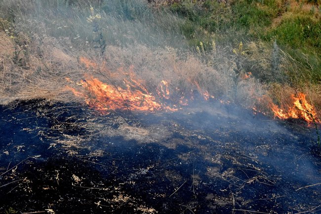 Shells detonate in occupied Donbas, fire reaches Ukrainian positions 03