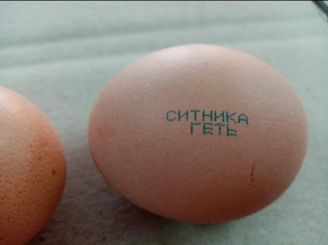 About 6,000 farmers demand NABU chiefs resignation, accuse him of pressure on Ukrainian business 07