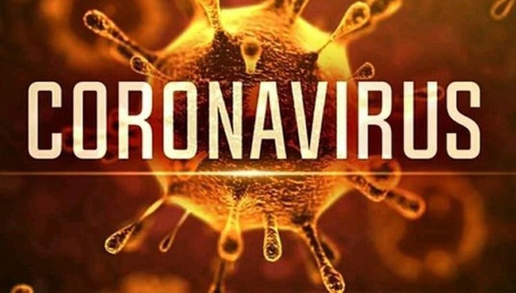 Украина присоединится к платформе ЮНЕСКО по обмену научной информацией о пандемии COVID-19, - Минобразования