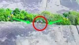 зачистка лесополосы от россиян
