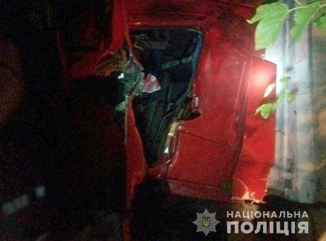 Грузовик врезался в дерево на Николаевщине, водитель погиб, - полиция 02