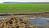 Общины трех сел подали жалобу в ЕБРР и Всемирный банк на "Мироновский хлебопродукт"