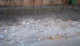 В Одессе коммунальщики дорожные ямы засыпают мусором. ФОТО