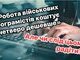 Скільки коштують державі військові програмісти і чому мінімалістичний підхід є шкідливим?