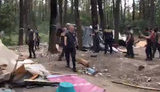 "Нащо ви наш український ліс порепали?" - "Нацдружины" снесли табор ромов в Голосеевском парке. ВИДЕО