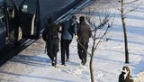 беларусь,задержание
