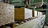 rockwool