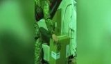 На Волині прикордонники затримали рекордну цього року партію контрабандних сигарет - 67 тисяч пачок вартістю понад пів мільйона гривень. ВIДЕО