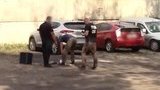 Заблоковано агентурну мережу "ЛНР", яка планувала теракти в Україні, - СБУ. ВІДЕО