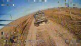 солнцепьок
