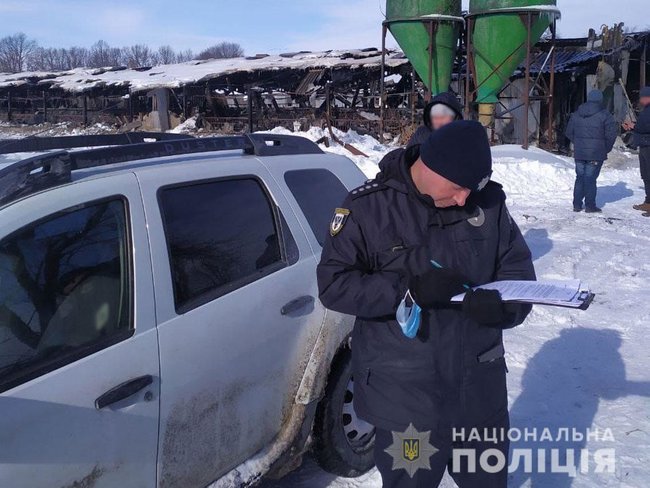 230 свиней загинули під час пожежі на Чернігівщині 03