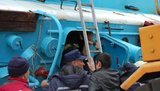 иволга