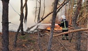 Пожары на Луганщине: восемь из десяти основных очагов ликвидированы, два - локализованы, - ГСЧС