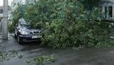 Вчерашний ураган в Киеве повалил сотни деревьев и уничтожил десятки машин. ФОТОрепортаж.