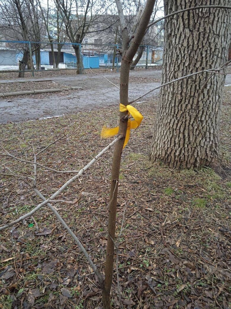 Жовта Стрічка