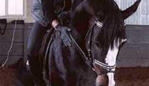 ”ХАТЫНКА” ДЛЯ ВАЛЕРИЯ КОНОВАЛЮКА