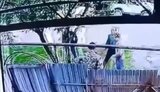 росія,ніж,убивство