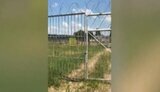 Близ Минска строят лагерь для политзаключенных, - CNN. ВИДЕО