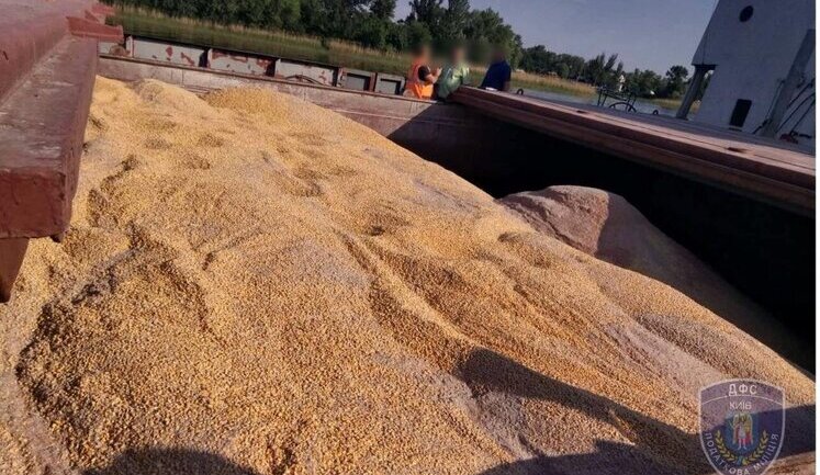 Світові ціни на кукурудзу зростають, одна з причин – посуха в Україні, – FAO