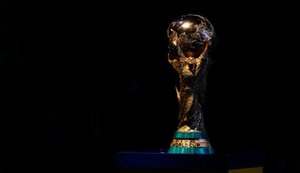 Україна та Польща можуть спільно претендувати на проведення ЧС з футболу у 2040-х