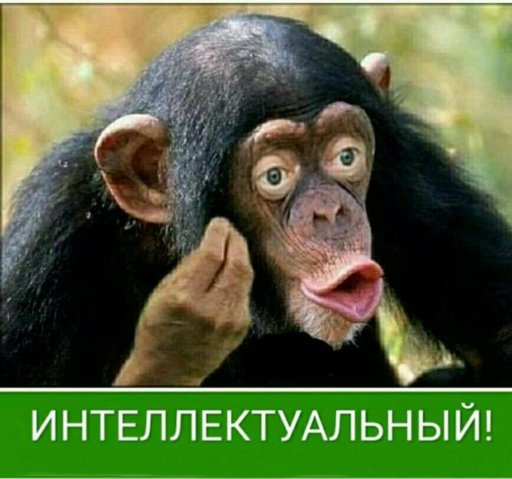 Офіс Інтелектуального Локдауну. ФОТОжабери обговорюють можливий карантин із дивною назвою 06