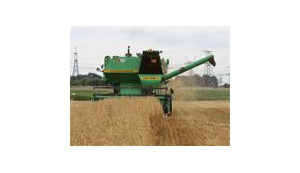 Ukraine Second in Grain Export and First in Efficiency Growth Rate