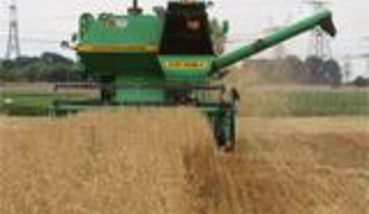 Ukraine Second in Grain Export and First in Efficiency Growth Rate