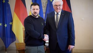 Zelenskyy met with Steinmeier: They discussed importance of launching joint arms production. PHOTOS