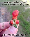 Вкус специфический!