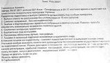 Заместители Генпрокурора, пока летели к Януковичу, были "обласканы лучше, чем родные". ДОКУМЕНТ